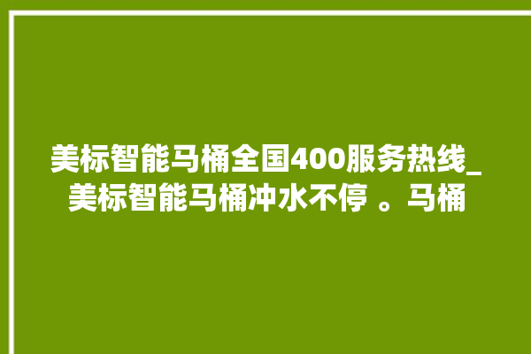 美标智能马桶全国400服务热线_美标智能马桶冲水不停 。马桶