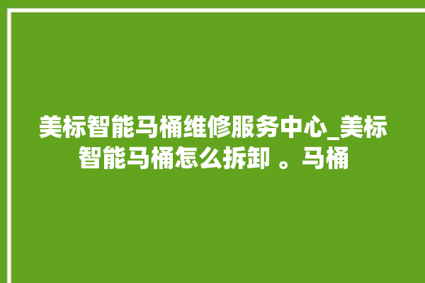 美标智能马桶维修服务中心_美标智能马桶怎么拆卸 。马桶