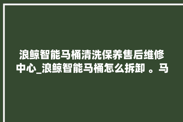 浪鲸智能马桶清洗保养售后维修中心_浪鲸智能马桶怎么拆卸 。马桶