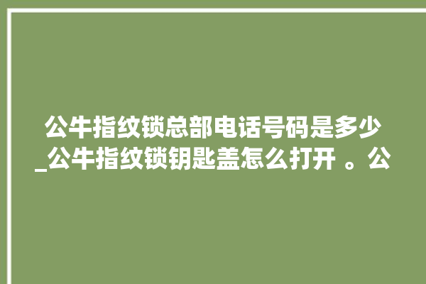 公牛指纹锁总部电话号码是多少_公牛指纹锁钥匙盖怎么打开 。公牛