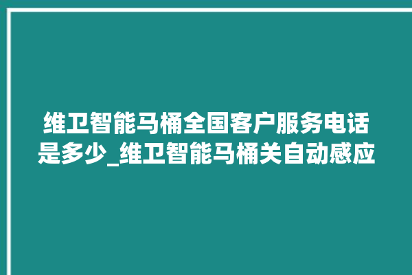 维卫智能马桶全国客户服务电话是多少_维卫智能马桶关自动感应 。马桶