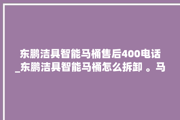 东鹏洁具智能马桶售后400电话_东鹏洁具智能马桶怎么拆卸 。马桶