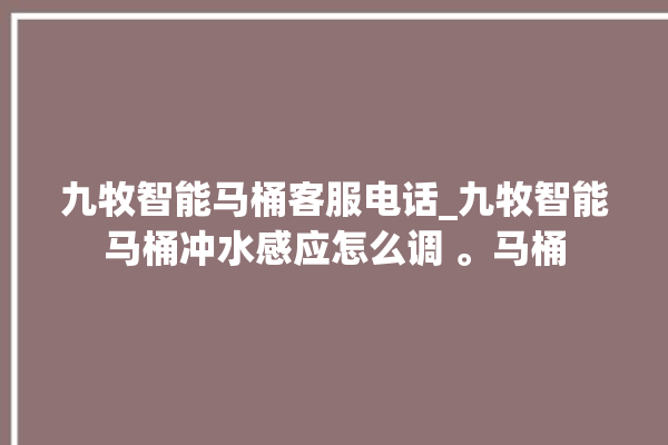 九牧智能马桶客服电话_九牧智能马桶冲水感应怎么调 。马桶