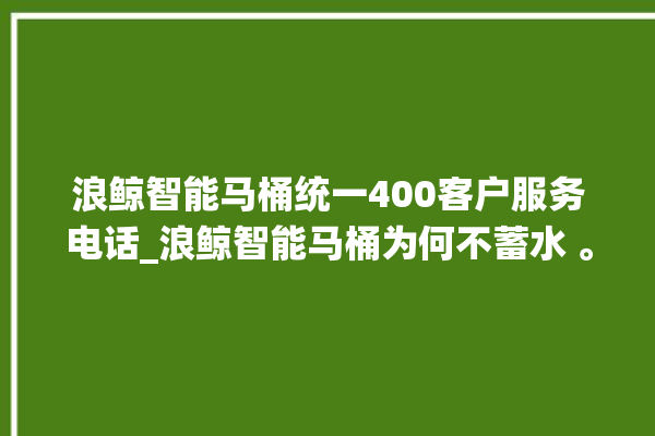 浪鲸智能马桶统一400客户服务电话_浪鲸智能马桶为何不蓄水 。马桶