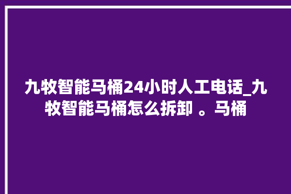 九牧智能马桶24小时人工电话_九牧智能马桶怎么拆卸 。马桶