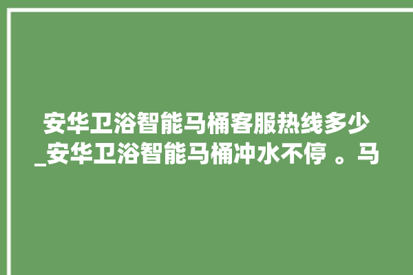 安华卫浴智能马桶客服热线多少_安华卫浴智能马桶冲水不停 。马桶