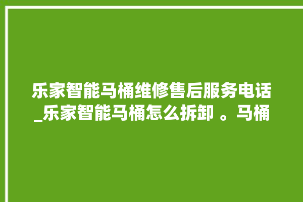 乐家智能马桶维修售后服务电话_乐家智能马桶怎么拆卸 。马桶