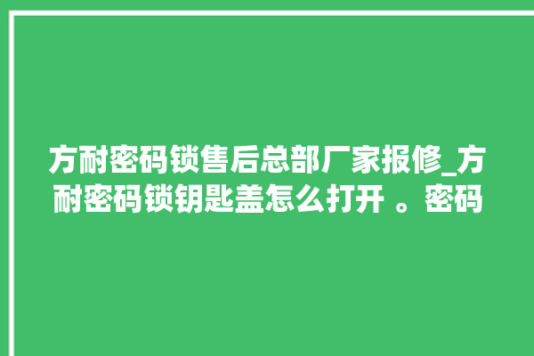 方耐密码锁售后总部厂家报修_方耐密码锁钥匙盖怎么打开 。密码锁