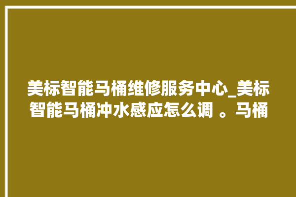 美标智能马桶维修服务中心_美标智能马桶冲水感应怎么调 。马桶