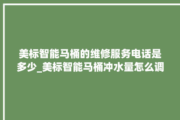 美标智能马桶的维修服务电话是多少_美标智能马桶冲水量怎么调节 。马桶