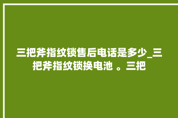 三把斧指纹锁售后电话是多少_三把斧指纹锁换电池 。三把