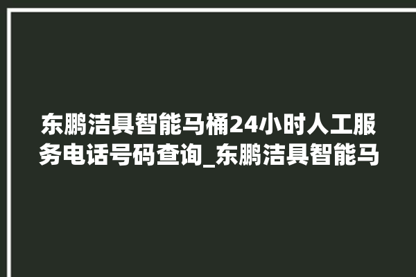 东鹏洁具智能马桶24小时人工服务电话号码查询_东鹏洁具智能马桶为何不蓄水 。马桶