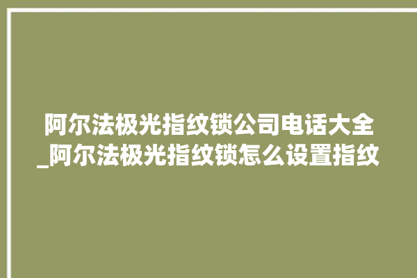 阿尔法极光指纹锁公司电话大全_阿尔法极光指纹锁怎么设置指纹 。阿尔法