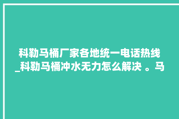 科勒马桶厂家各地统一电话热线_科勒马桶冲水无力怎么解决 。马桶