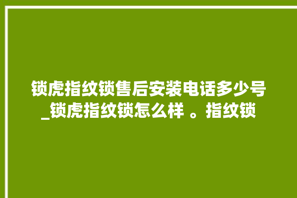 锁虎指纹锁售后安装电话多少号_锁虎指纹锁怎么样 。指纹锁