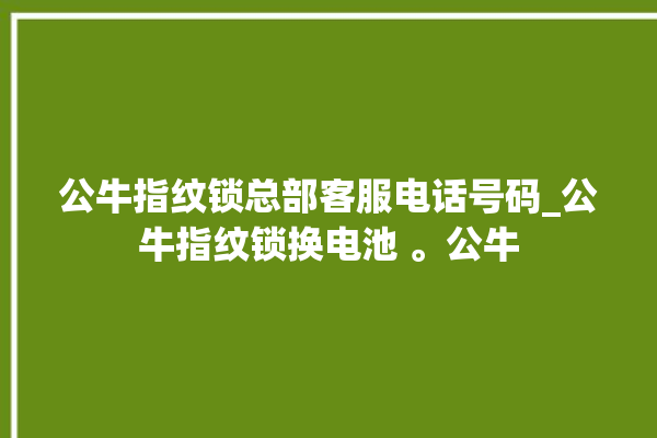 公牛指纹锁总部客服电话号码_公牛指纹锁换电池 。公牛