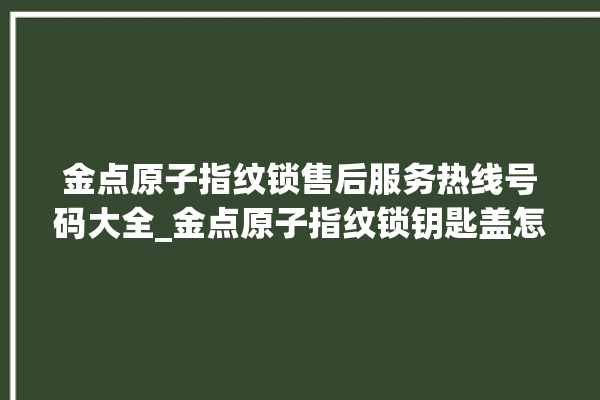 金点原子指纹锁售后服务热线号码大全_金点原子指纹锁钥匙盖怎么打开 。原子