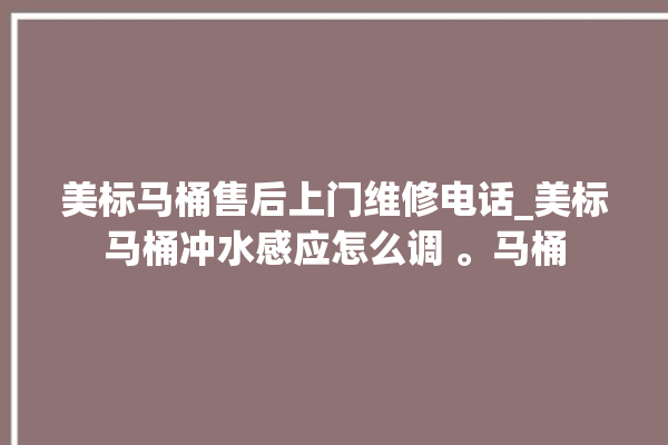 美标马桶售后上门维修电话_美标马桶冲水感应怎么调 。马桶