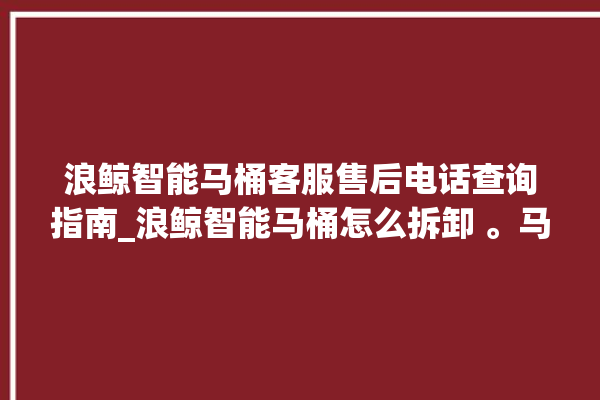 浪鲸智能马桶客服售后电话查询指南_浪鲸智能马桶怎么拆卸 。马桶