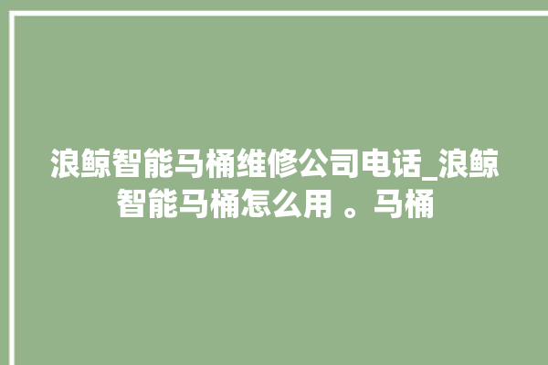 浪鲸智能马桶维修公司电话_浪鲸智能马桶怎么用 。马桶