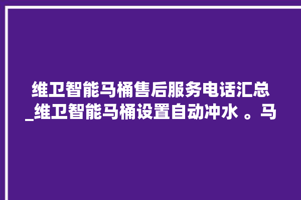 维卫智能马桶售后服务电话汇总_维卫智能马桶设置自动冲水 。马桶