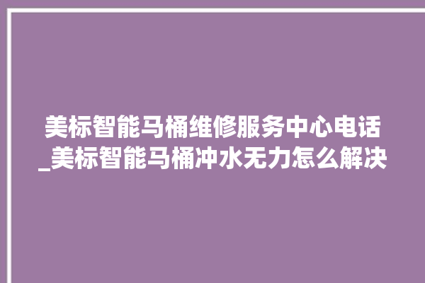 美标智能马桶维修服务中心电话_美标智能马桶冲水无力怎么解决 。马桶