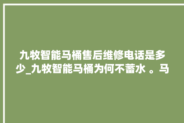 九牧智能马桶售后维修电话是多少_九牧智能马桶为何不蓄水 。马桶