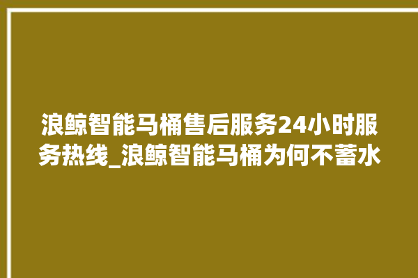 浪鲸智能马桶售后服务24小时服务热线_浪鲸智能马桶为何不蓄水 。马桶