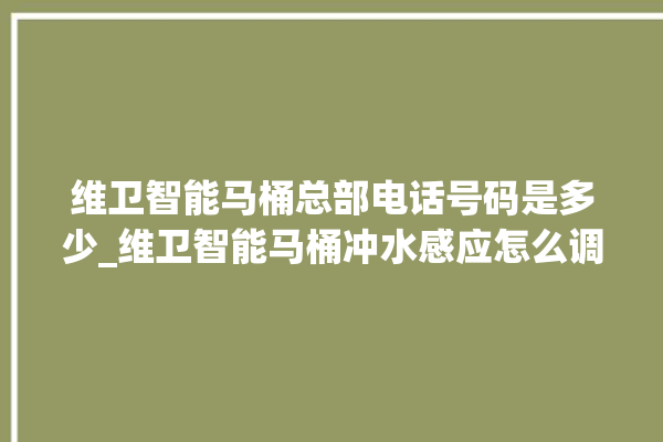 维卫智能马桶总部电话号码是多少_维卫智能马桶冲水感应怎么调 。马桶