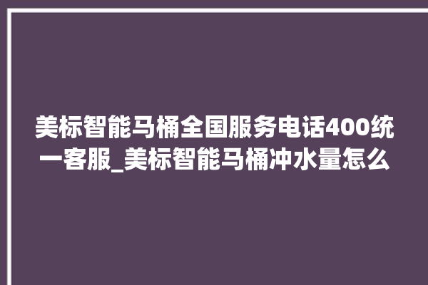 美标智能马桶全国服务电话400统一客服_美标智能马桶冲水量怎么调节 。马桶