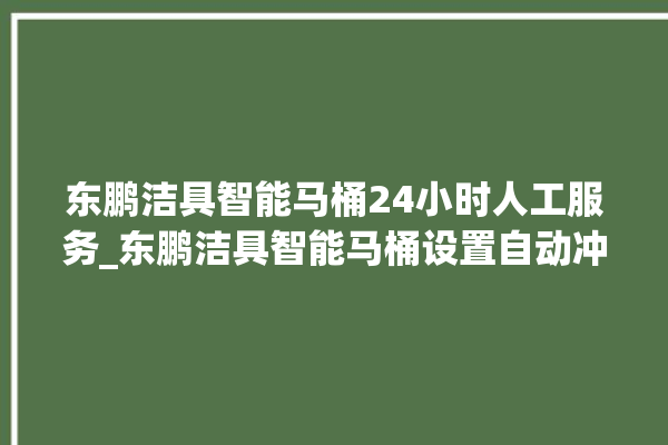 东鹏洁具智能马桶24小时人工服务_东鹏洁具智能马桶设置自动冲水 。马桶