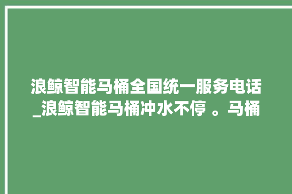 浪鲸智能马桶全国统一服务电话_浪鲸智能马桶冲水不停 。马桶