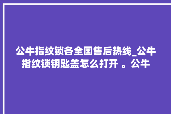 公牛指纹锁各全国售后热线_公牛指纹锁钥匙盖怎么打开 。公牛