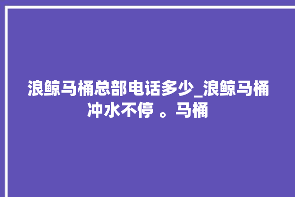 浪鲸马桶总部电话多少_浪鲸马桶冲水不停 。马桶