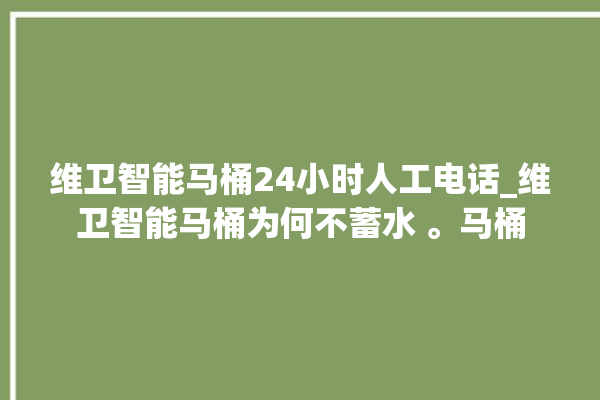 维卫智能马桶24小时人工电话_维卫智能马桶为何不蓄水 。马桶