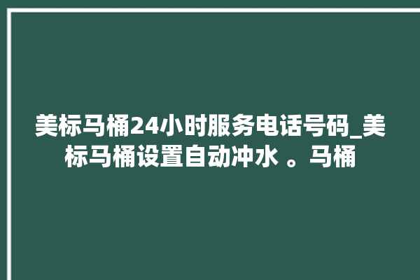 美标马桶24小时服务电话号码_美标马桶设置自动冲水 。马桶