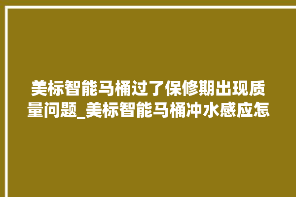 美标智能马桶过了保修期出现质量问题_美标智能马桶冲水感应怎么调 。马桶