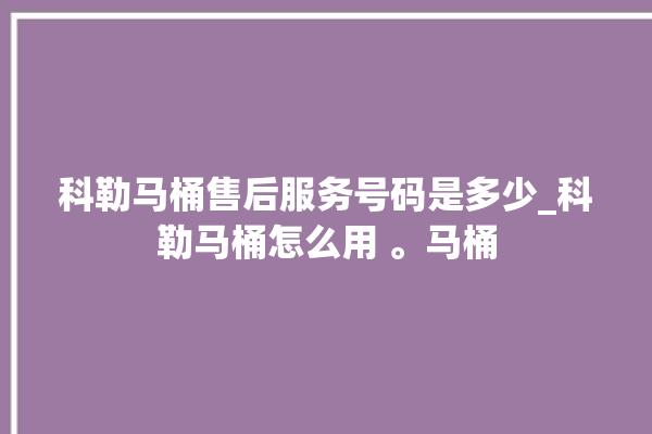 科勒马桶售后服务号码是多少_科勒马桶怎么用 。马桶