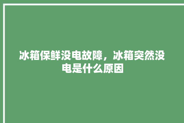 冰箱保鲜没电故障，冰箱突然没电是什么原因