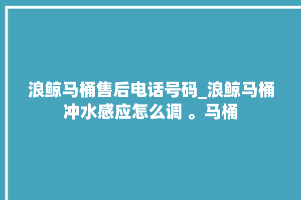 浪鲸马桶售后电话号码_浪鲸马桶冲水感应怎么调 。马桶