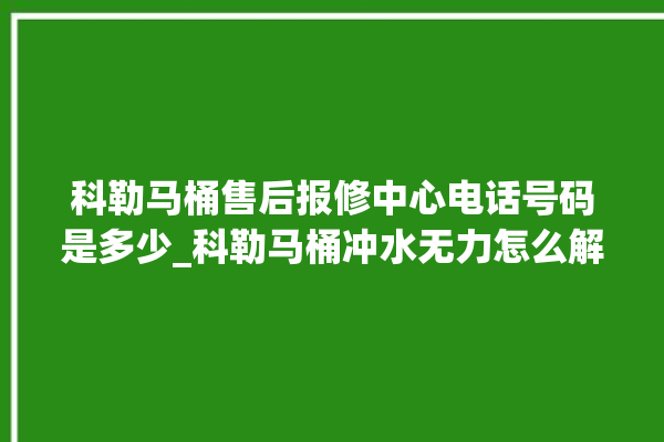 科勒马桶售后报修中心电话号码是多少_科勒马桶冲水无力怎么解决 。马桶