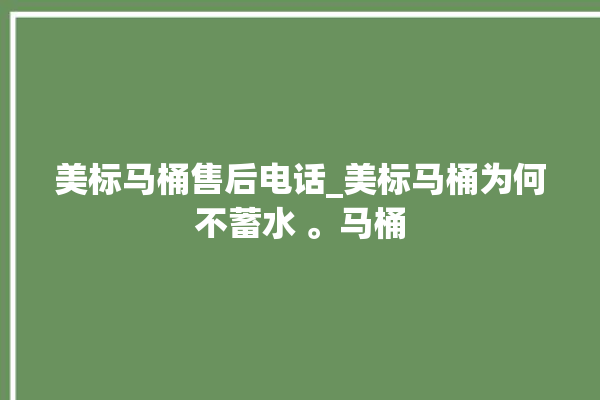 美标马桶售后电话_美标马桶为何不蓄水 。马桶