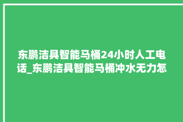 东鹏洁具智能马桶24小时人工电话_东鹏洁具智能马桶冲水无力怎么解决 。马桶