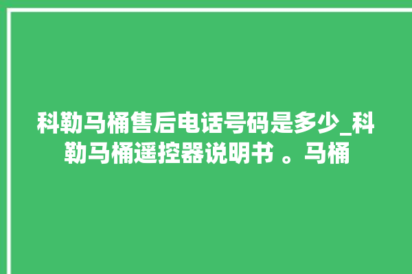 科勒马桶售后电话号码是多少_科勒马桶遥控器说明书 。马桶