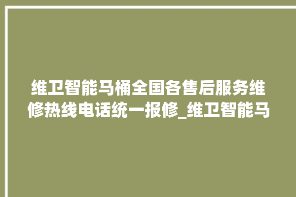 维卫智能马桶全国各售后服务维修热线电话统一报修_维卫智能马桶怎么用 。马桶