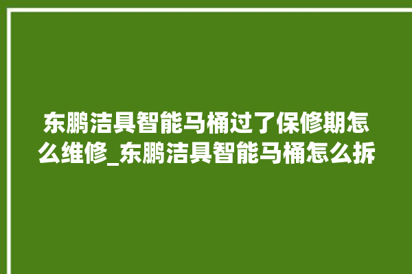 东鹏洁具智能马桶过了保修期怎么维修_东鹏洁具智能马桶怎么拆卸 。马桶