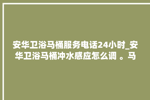 安华卫浴马桶服务电话24小时_安华卫浴马桶冲水感应怎么调 。马桶