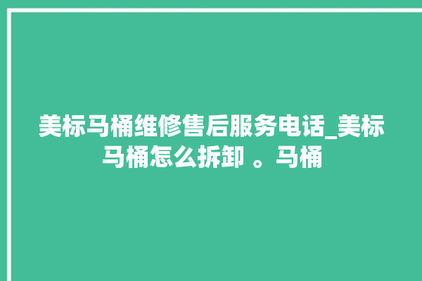 美标马桶维修售后服务电话_美标马桶怎么拆卸 。马桶