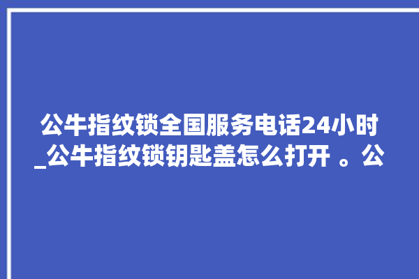 公牛指纹锁全国服务电话24小时_公牛指纹锁钥匙盖怎么打开 。公牛