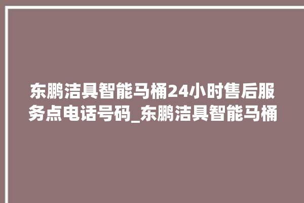 东鹏洁具智能马桶24小时售后服务点电话号码_东鹏洁具智能马桶遥控器说明书 。马桶